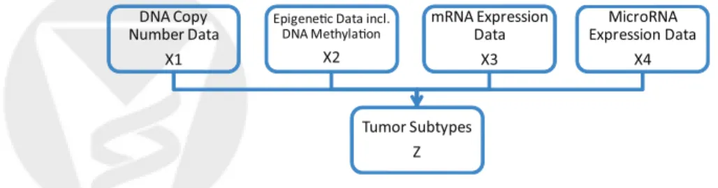 Figure 1: The integrative model. The concept is to formulate the tumor subtypes as the joint latent variable Z that needs to be simultaneously estimated from multiple genomic data types measured on the same set of tumors.