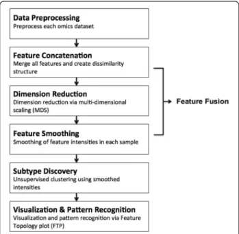 Fig. 1 Flow chart of Integrative Phenotyping Framework (iPF):
