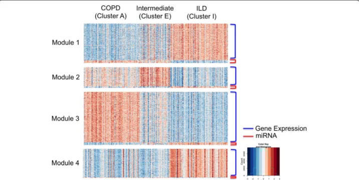 Fig. 5 Heatmap for the four modules of gene expression and miRNA features which significantly differentiate three clusters (COPD, Intermediate, and ILD)