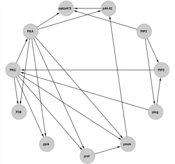 Figure 2.3: Display of a consensus protein network consisting of eleven proteins.