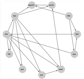 Figure 3.1: DAG representation for 11 proteins.