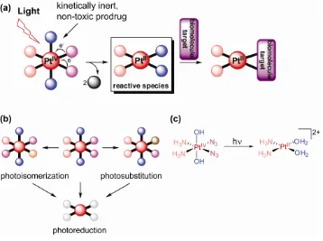 Figure 3. Photoactivation of Pt(IV) complexes as a prodrug strategy for metallochemotherapeutics; a) general scheme of prodrug activation by photoreduction; b) photosubstitution and photoisomerization are competing 
