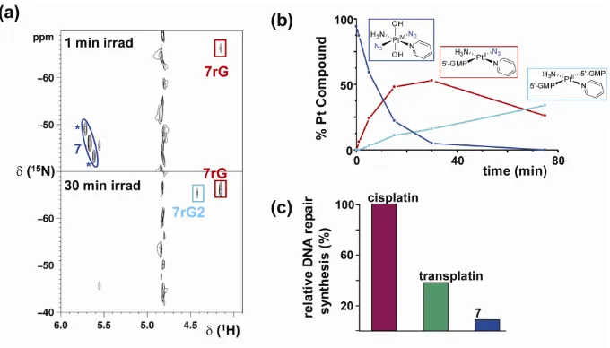 Figure 9. a) [1H, 15N] HSQC NMR spectra of 15N-labeled 7 and 2 mol equiv of 5′-