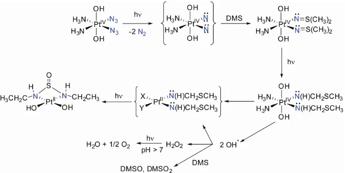 Figure 10. Possible photoactivation pathway of 4: mechanism for nitrene formation 