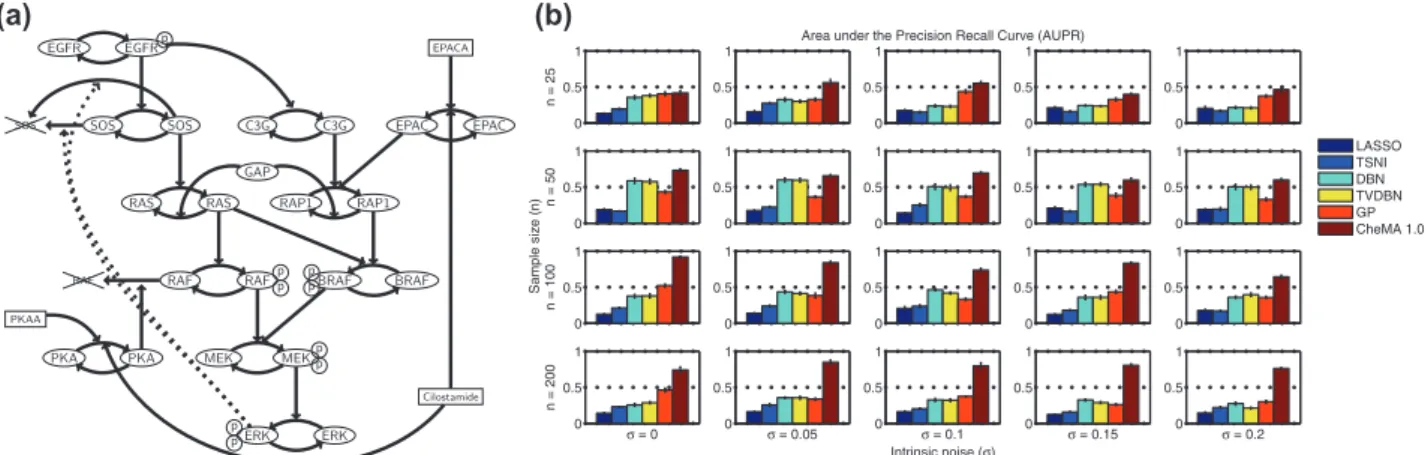 Fig. 2. Network inference, simulation study. (a) Reaction graph G for the MAPK signaling pathway because of Xu et al