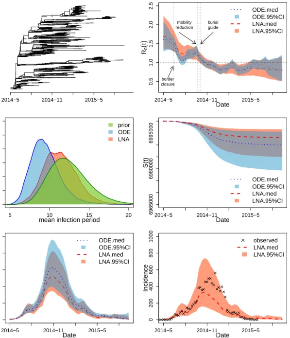 Figure 5: Analysis of the genealogy relating Ebola virus sequences collected in Sierra Leone.