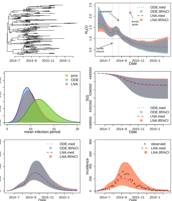 Figure 6: Analysis of the genealogy relating Ebola virus sequences collected in Liberia