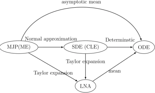 Figure A-2: The relationship between different dynamical system representations.