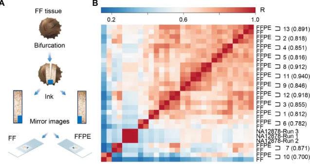 Figure 1: Immune Advance assay performance on FFPE versus FF samples.  A. Samples from 14 ovarian cancer patients were  halved to generate a series of matched fresh frozen (FF) and formalin-fixed paraffin embedded (FFPE) specimens, which were serially  sec
