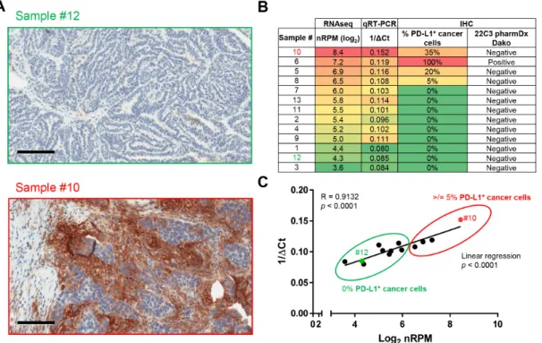 Figure 4: Validation of the Immune Advance assay on PD-L1.  A-C. Formalin-fixed paraffin embedded (FFPE) samples from  13 ovarian cancer patients were sectioned and processed for immunohistochemical assessment of PD-L1 expression, RNA extraction  followed 