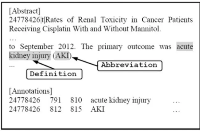 Figure 3. A Sample output of our abbreviation resolution.