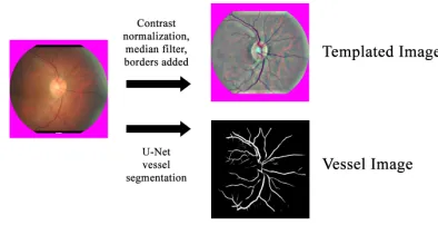 Figure 1 summarizes the preprocessing that we carried outto standardize the input to the models
