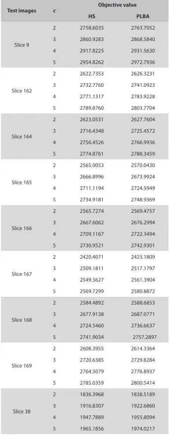 Table 3. Parameters used for the HS method
