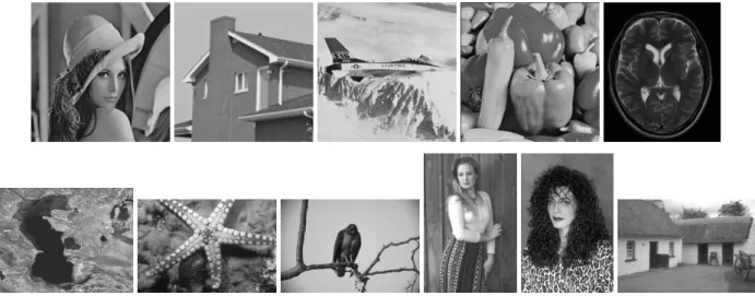 Figure 4: The test image dataset.