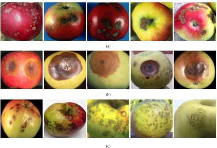 Fig. 1. Fruits defect segmentation. 