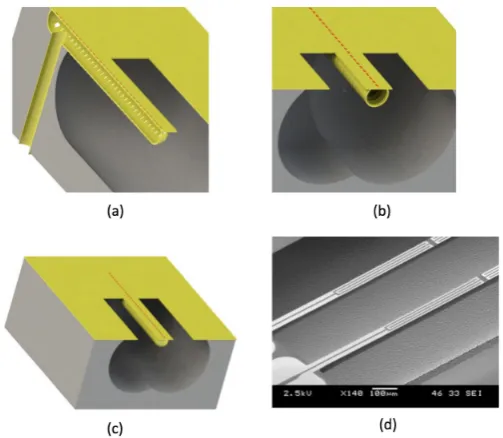 Figure 1.1: The schematic of the actual sensor. a. Artist impressions of inlet ofthe sensor