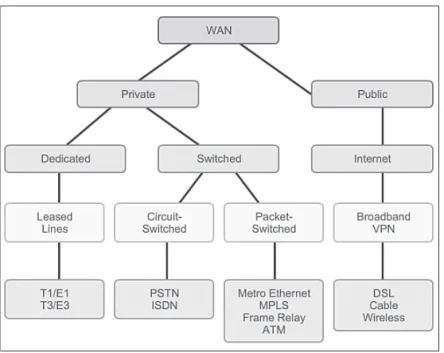 Figure 2-10 WAN  Access Options