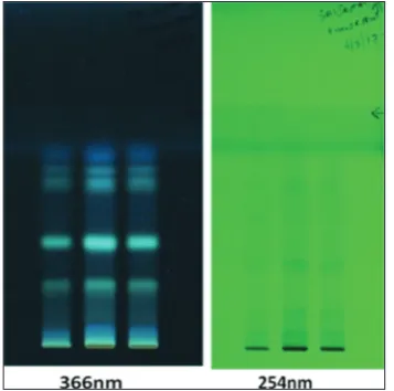 Table 2: Fluorescence analysis of root powder of Anthocephalus cadamba