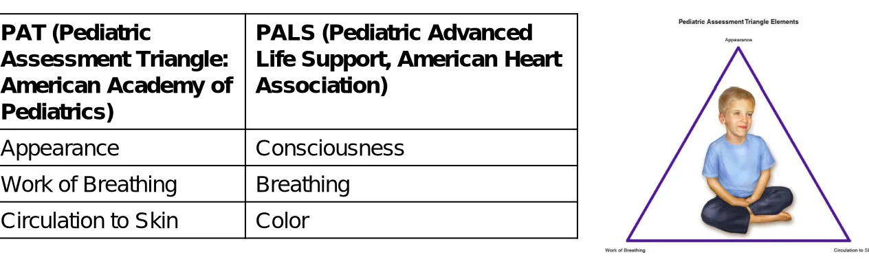 Table 38-2 Primary Assessment “From the Doorway” 