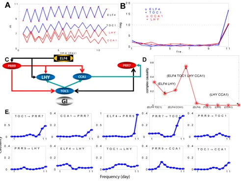 Figure 4. One gene circuit controlling circadian activity. A. Time trace of four genes, ELF4, TOC1, LFY and CCA1