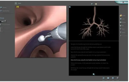 Figure 7. Simulator task 3. Step-by-Step Diagnostic Manoeuvres (Simbionix, 2018a) 