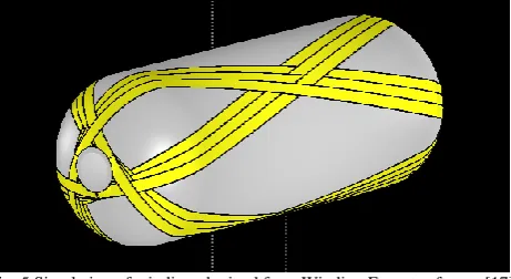 Fig. 6 Simulation winding of dome side of the vessel 
