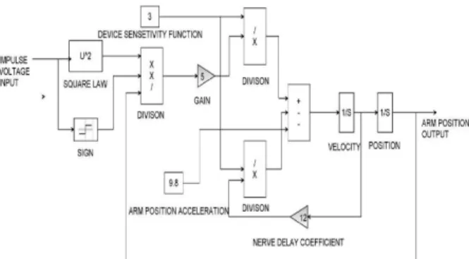 Fig. 1. Block diagram of the nerves system based arm position sensor device  B. Design of NARMA-L2 Neural Network Controller 