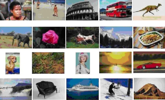 Fig. 3. Sample images from the 20 categories of the COREL image set.