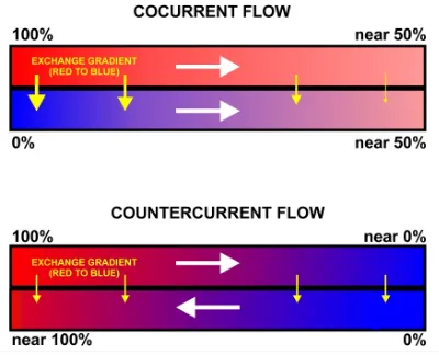 Figure 1: A comparison between cocurrent ﬂow(in the same direction) and countercurrent ﬂow(in the opposite direction) [4].