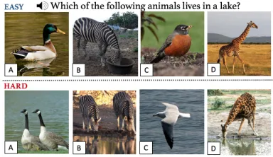 Figure 1: Example VMCQ at two different difﬁculty levels –easy and hard with correct answer A: Duck