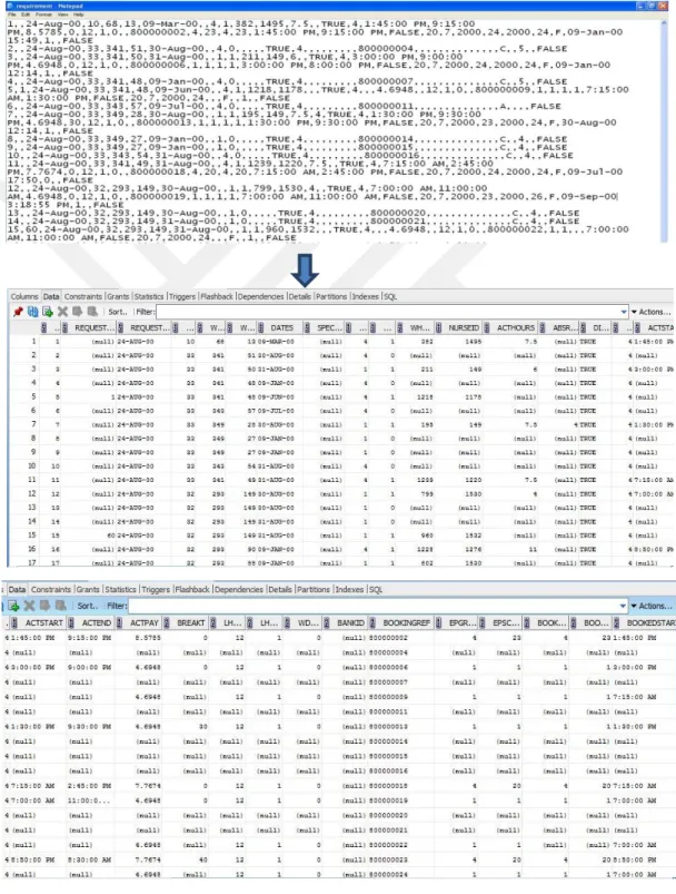 Figure 3.5: Requirement Table From notepad to Oracle 