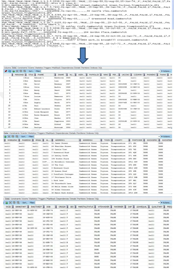 Figure 3.6: Person Table From notepad to Oracle 