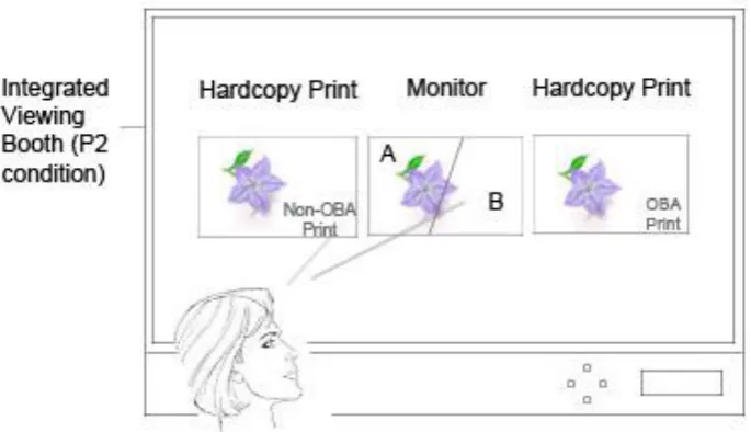 Figure 2: Illustration for experiment 1 
