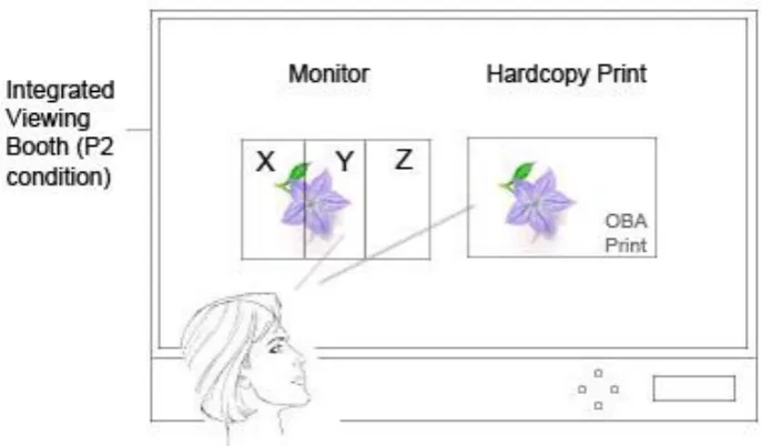 Figure 3: Illustration for experiment 2 