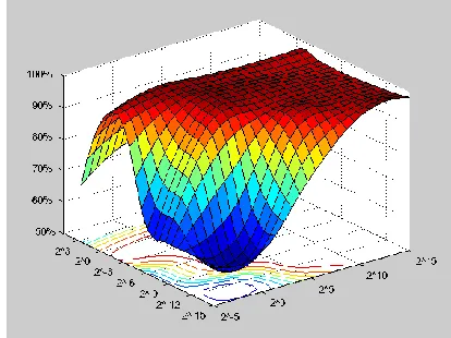 Figure 2: Surface plot for the C-SVM and RBF kernel functions 