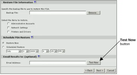 Figure 11 - PSA Restore Options Page 