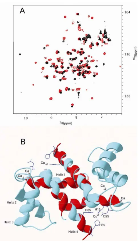 Figure 9turbationsS100A12 complex formation using NMR chemical shift per-Mapping of the interaction surface involved in the ZnCaMapping of the interaction surface involved in the Zn2+Ca2+-S100A12 complex formation using NMR 