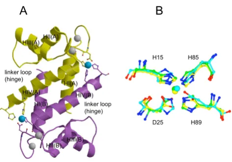 Fig. 9B and figure legend) and ESI-MS data (Fig. 5).