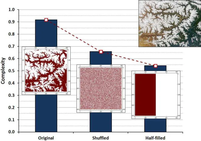 Figure 7. Comparison between the scaled complexity of a natural fractal pattern(left bar), a shuﬄed conﬁguration of it (middle bar) and a half-ﬁlled conﬁgurationof same dimensions (right bar).The diﬀerence in complexity of can be clearlyseen in the picture
