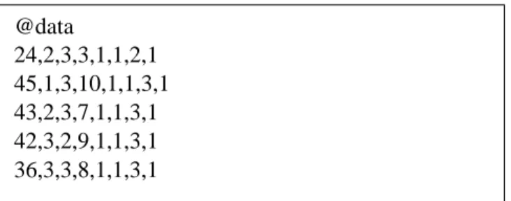Figure 7: ARFF Data Section 