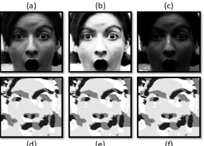 Fig 3. (a) Original illumination image, (b) bright illumination  image, (c) low light illumination image, and (d), (e), (f) are the 