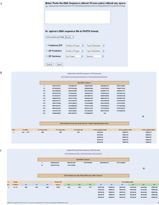 Figure 2     Results of ZiF-Predict using the input DNA sequence. A. Sequence input page
