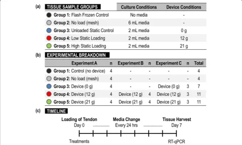 Fig. 1 (sample groups, and (a) Breakdown of culture and device experimental conditions designed to isolate the effects of culture and loading conditions, (b) tissuec) timeline of experiments