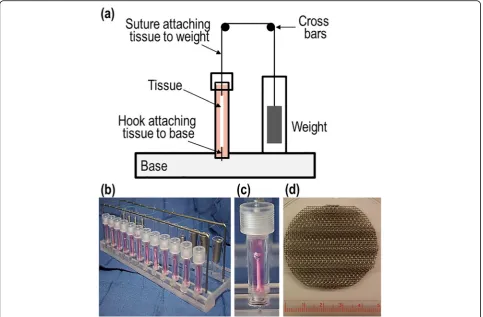Fig. 2 (a) A lateral view diagram of the tension device components depicting a chosen weight applying tension to the tissue via a suture