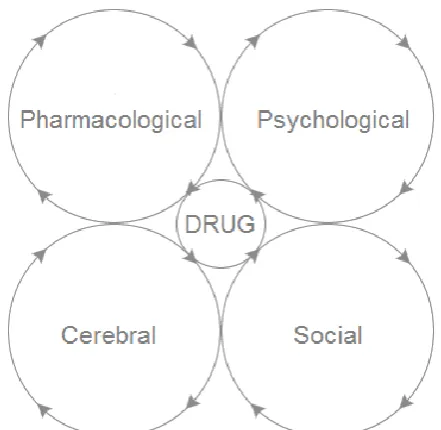 Figure 2.2:  Vicious cycles that maintain the addiction [8]