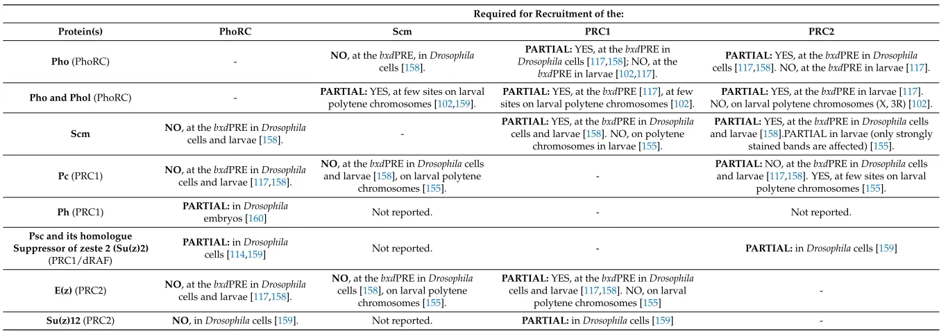 Table 2. Interdependence between the recruitment of different PcG complexes.