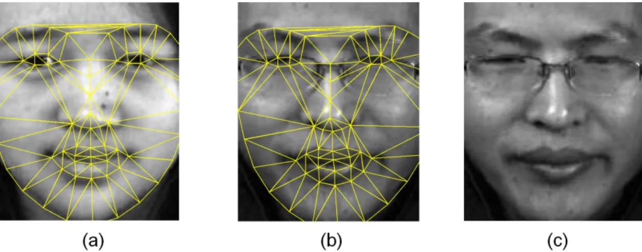Figure 2.1: Face transformation. (a) Model face with feature points detected; (b) Sample face before transformation; (c) Results of mapping the feature points from sample face to model face