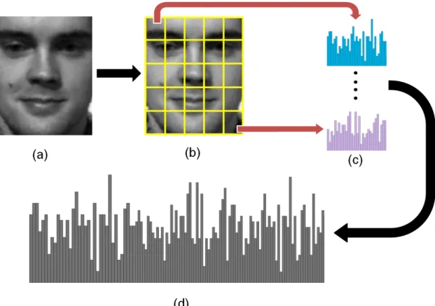 Figure 2.6: Block-based LBP: (a) Face image; (b) Face equally divided into 5×5 blocks;