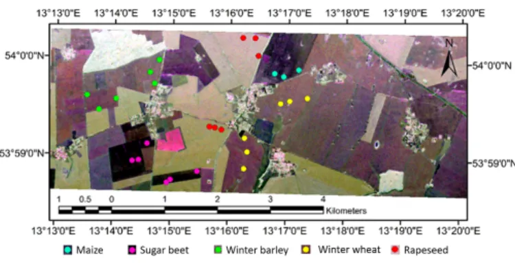Fig. 1. Pauli-RGB image of E-SAR data acquired on June 7 during AgriSAR 2006 campaign along with in-situ sampling locations.