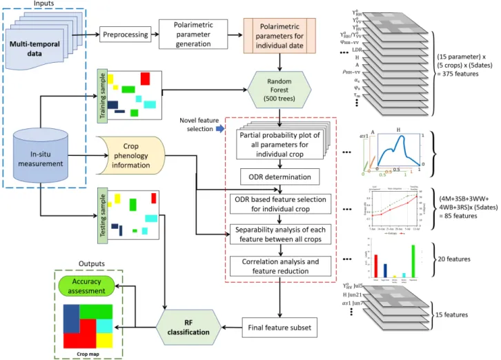 Fig. 4. Schematic workflow of novel feature selection and multi-temporal crop classification using RF.